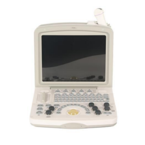 Doppler Ultrasound Diagnostic System